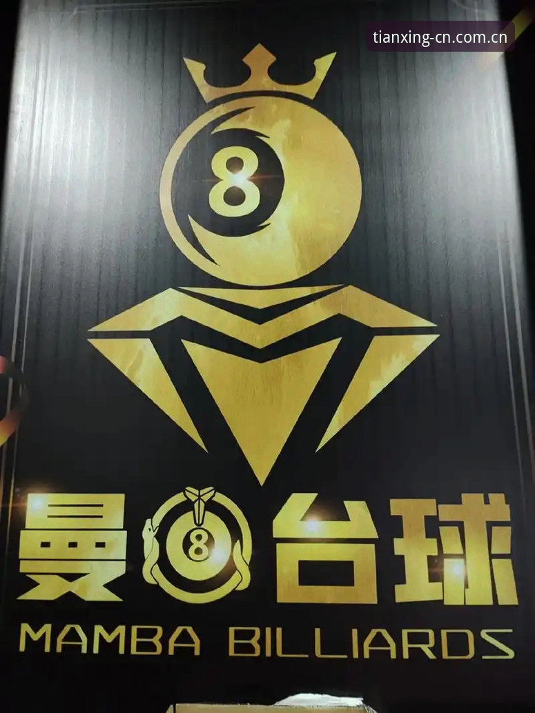 天行CN登录入口安装教程 天行体育CN登录入口安装详解:从下载到赛事数据查询全流程