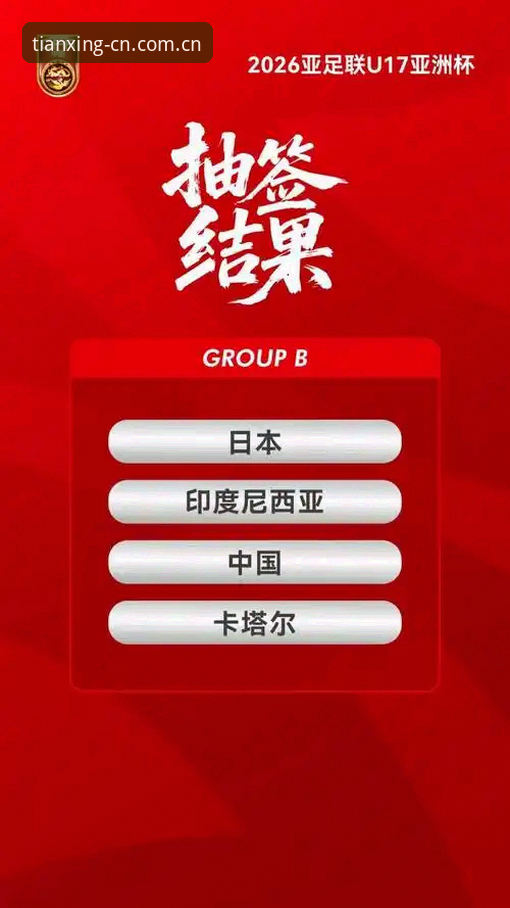 天行体育官网 揭秘U17世界杯抽签背后的爆冷潜质,天行体育老用户带你深扒赛事看点